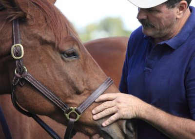 The Masterson Method – A Modern Approach to Equine Therapy