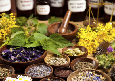 Homeopathy: A Journey Through History to Holistic Healing